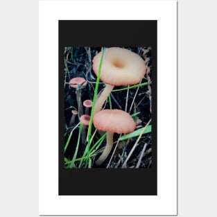 Mushroom Photography Prints #3 Posters and Art